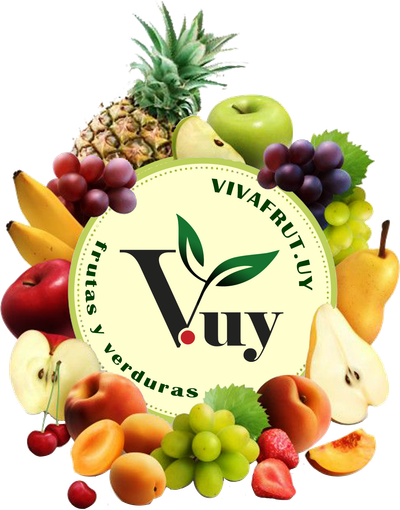 VIVAfrut.uy.com