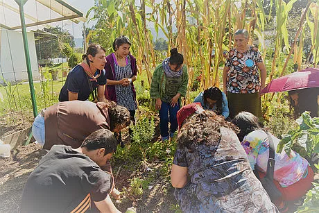 Los saberes ancestrales