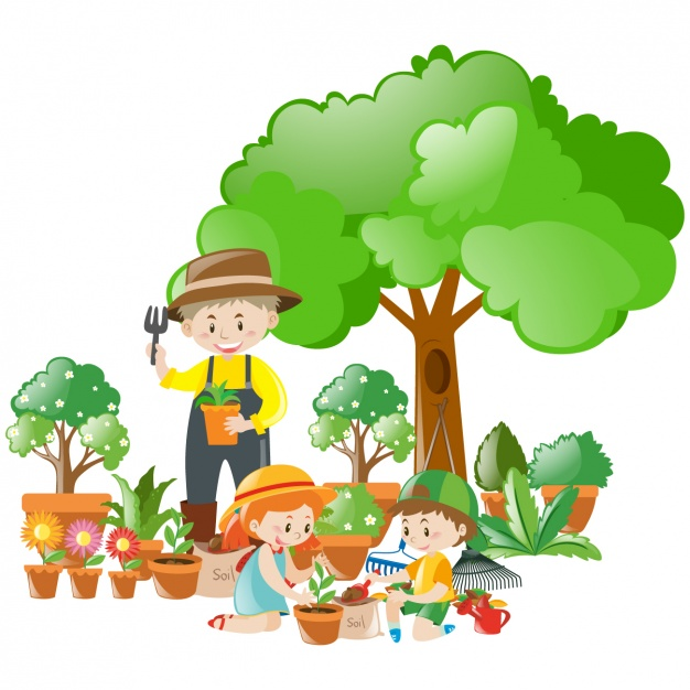 EL ABUELO Y SUS PLANTAS MÁGICAS