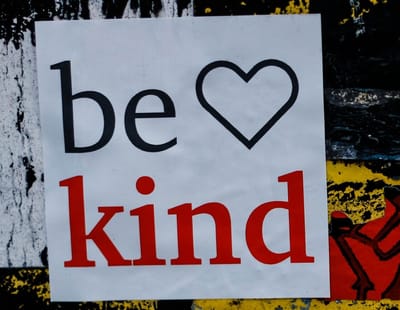 Kind or Nice