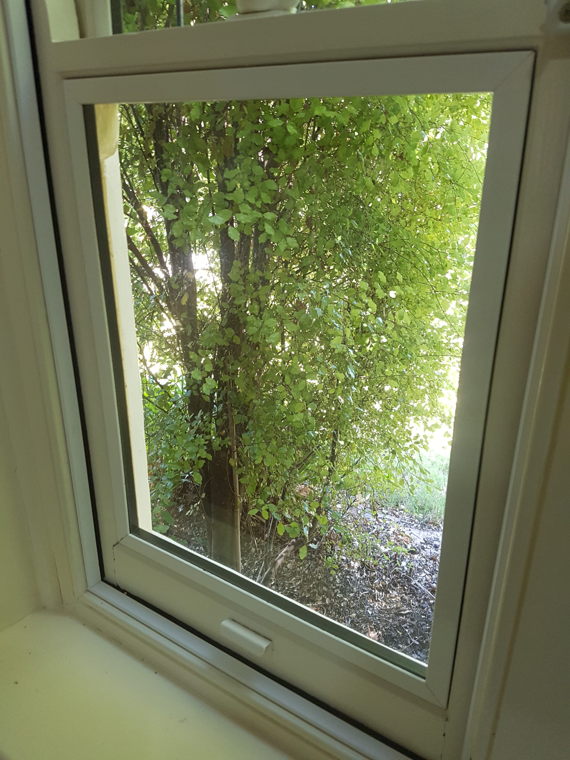 In-sash ecoGlaze for double-hung window