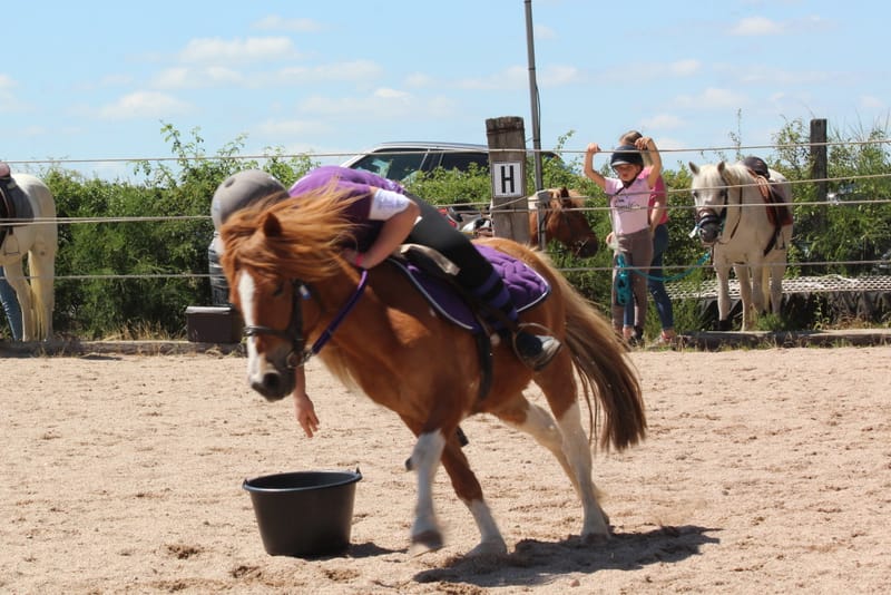 Cours pony games