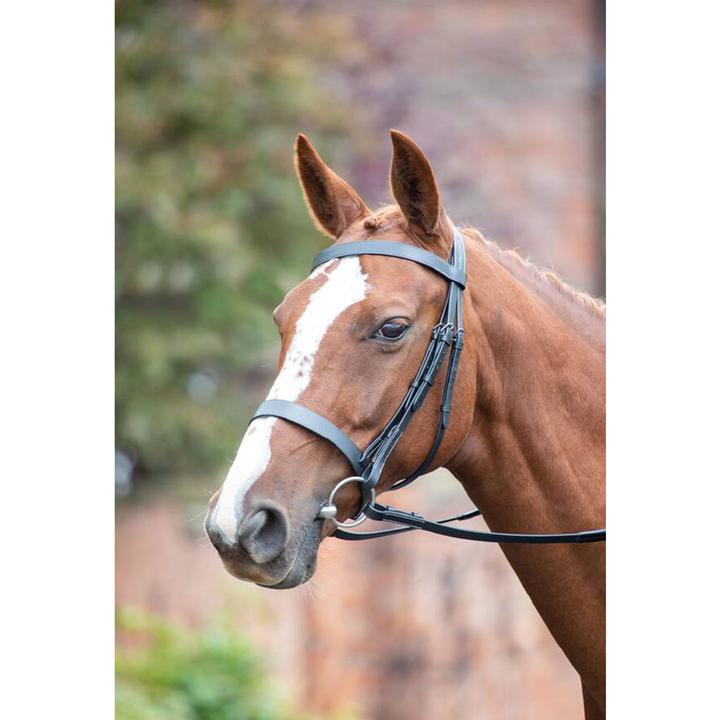 Bridon en cuir Shires Blenheim