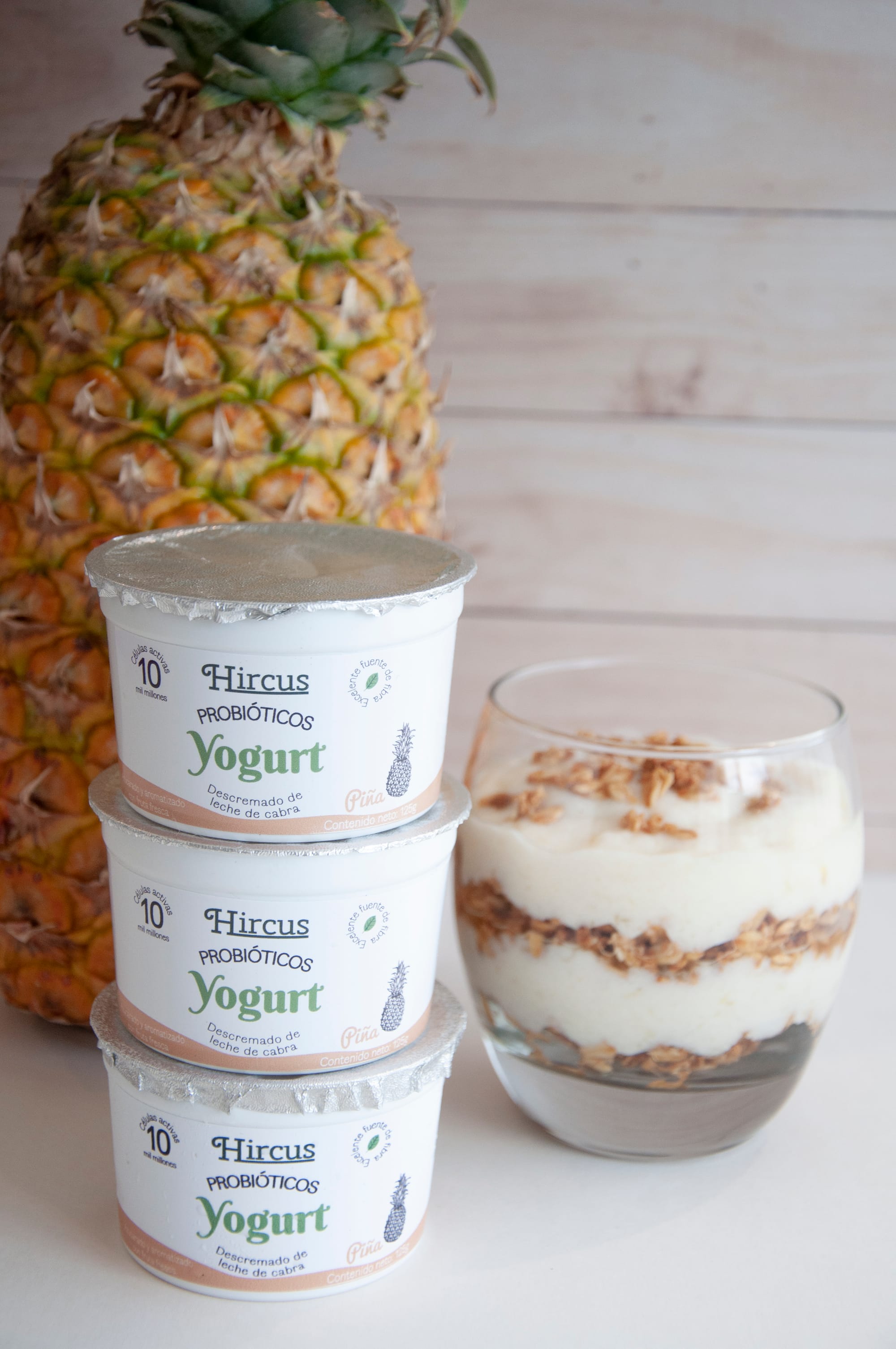 YOGURT DE LECHE DE CABRA DESCREMADA SABOR PIÑA