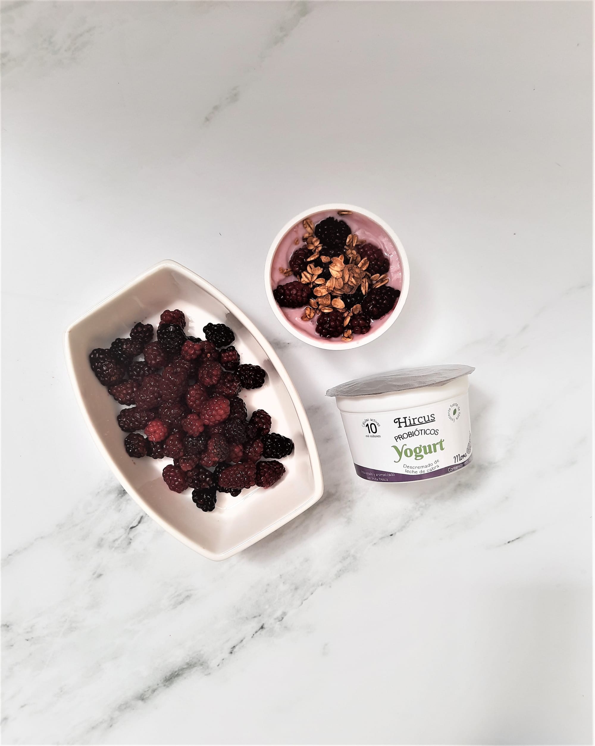 YOGURT DE LECHE DE CABRA DESCREMADA SABOR MORA