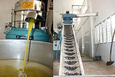 The establishment of cooperatives, particularly the cooperatives of local products