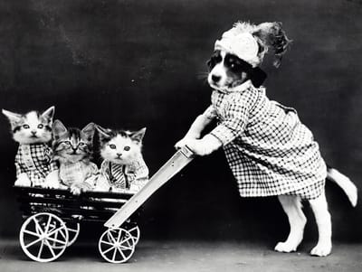 Sobre nosotros image