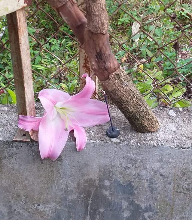 打開生命藍圖，專注步向自己的生命道路