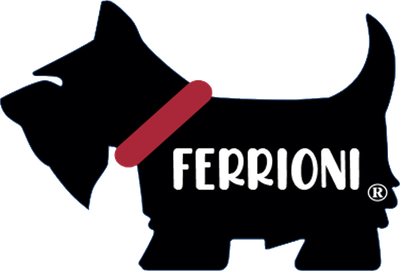 Ferrioni