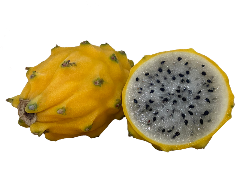 FRUTA