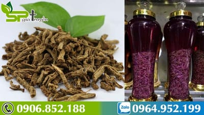 Uống rượu Ba Kích như thế nào là đúng?