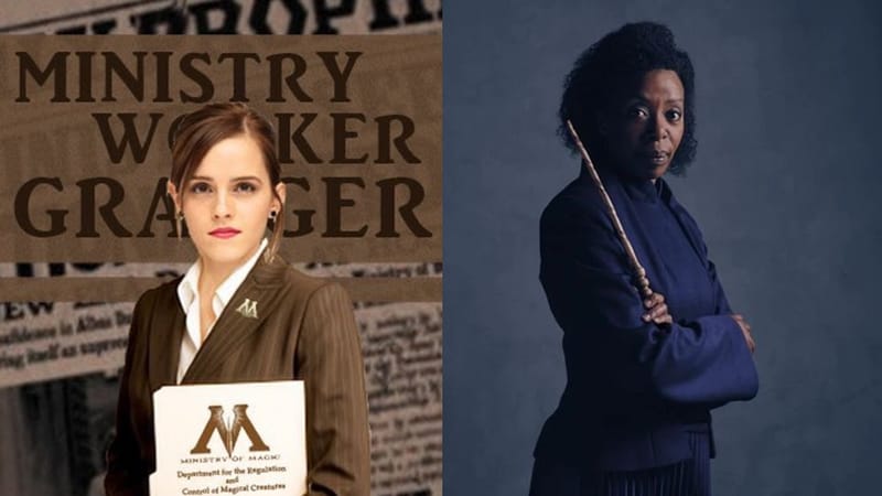 HERMIONE JEAN GRANGER: a luta feminina do Mundo Bruxo