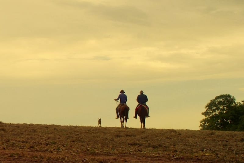 QUERÊNCIA: filme brasileiro produzido em Minas Gerais nos lembra “Vidas Secas” de Graciliano Ramos