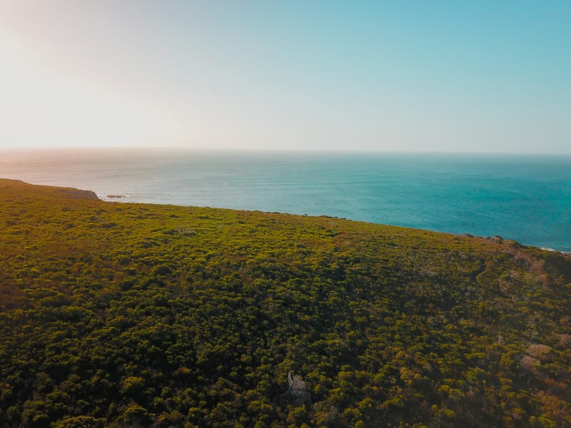 Western Australia State Nomination List and Eligibility