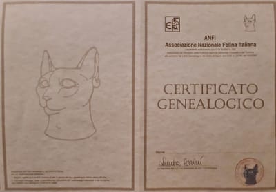 Come leggere il pedegree image