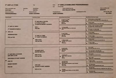 Come leggere il pedegree image