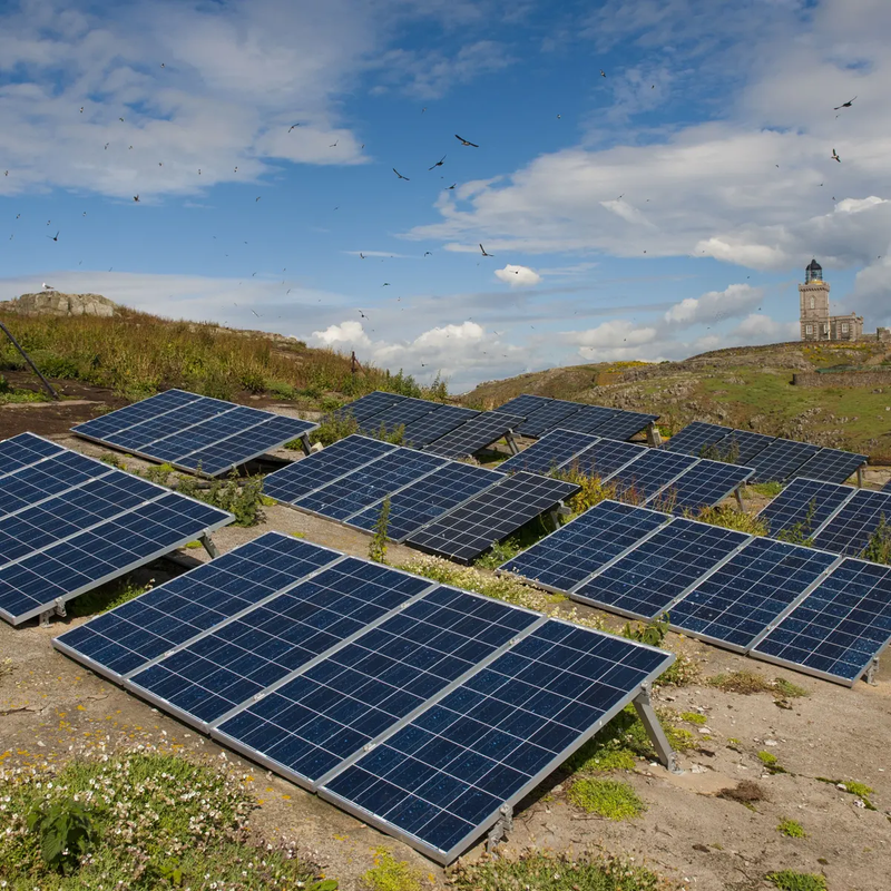 Renewable Energy