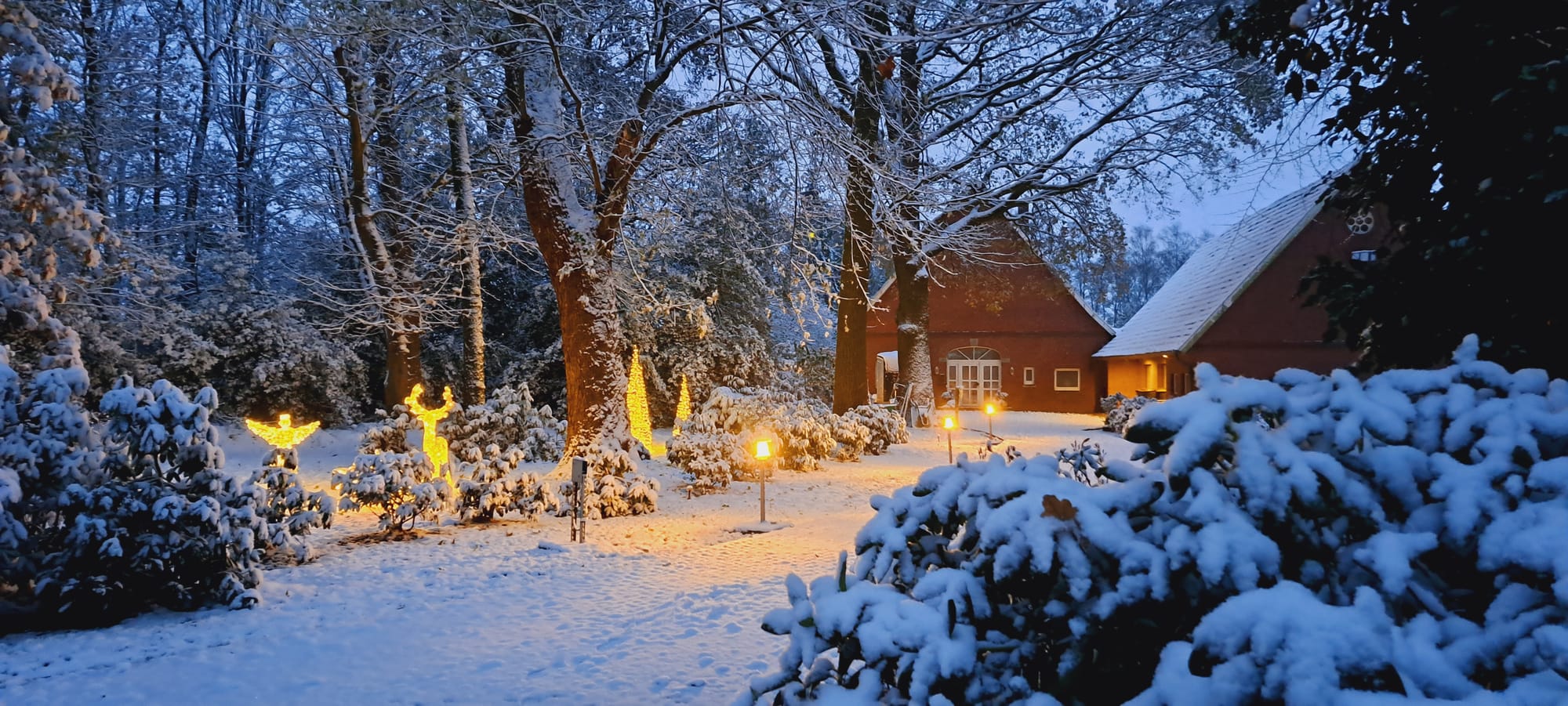 Unser kleiner Winterwald