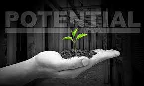 Discovering Purpose And Maximizing Potential