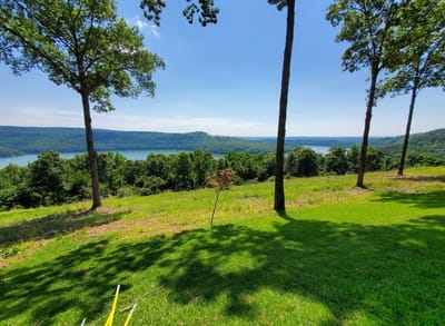 WE LOVE TREES! image