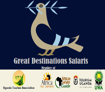 Great Destinations Safaris