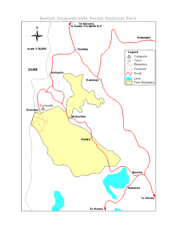 3 .  Bwindi Impenetrable Forests: