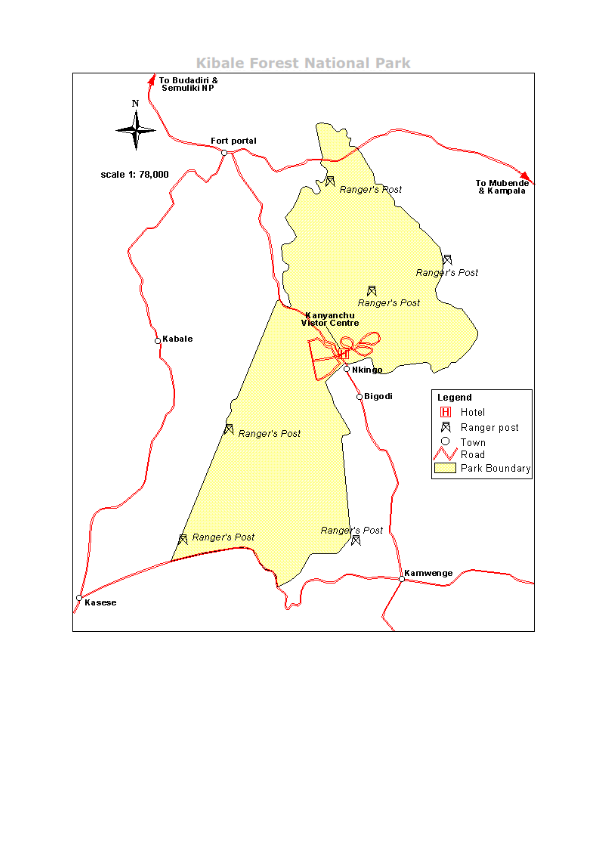 7. Kibale National Park: