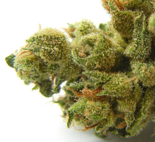 Super Strains Reserve