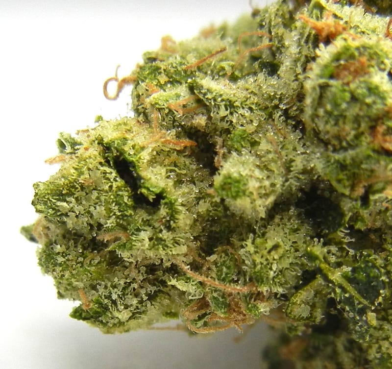 Top Shelf