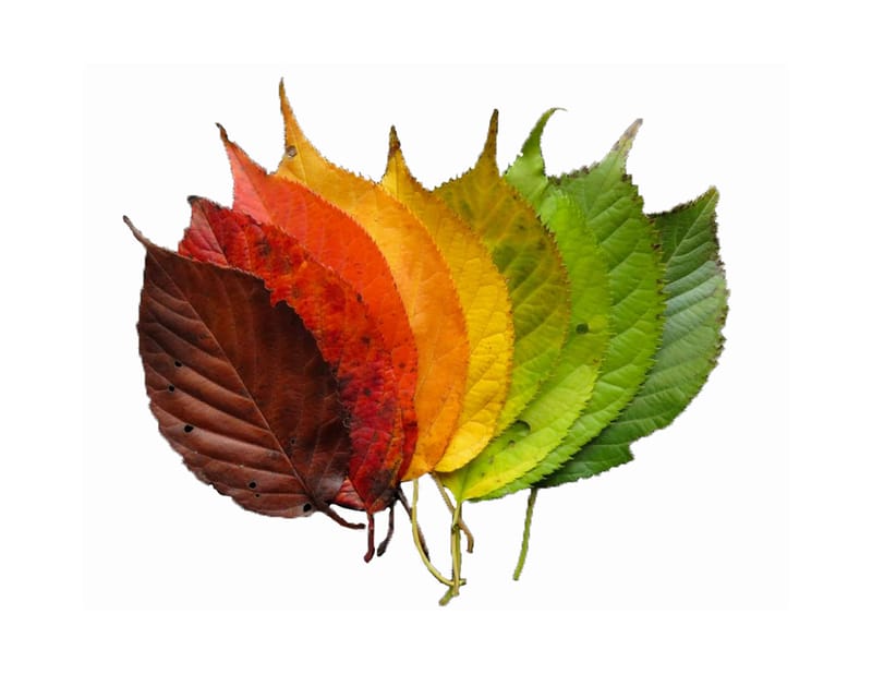 Colored Pencil/Marker Class at Creative Junk Therapy