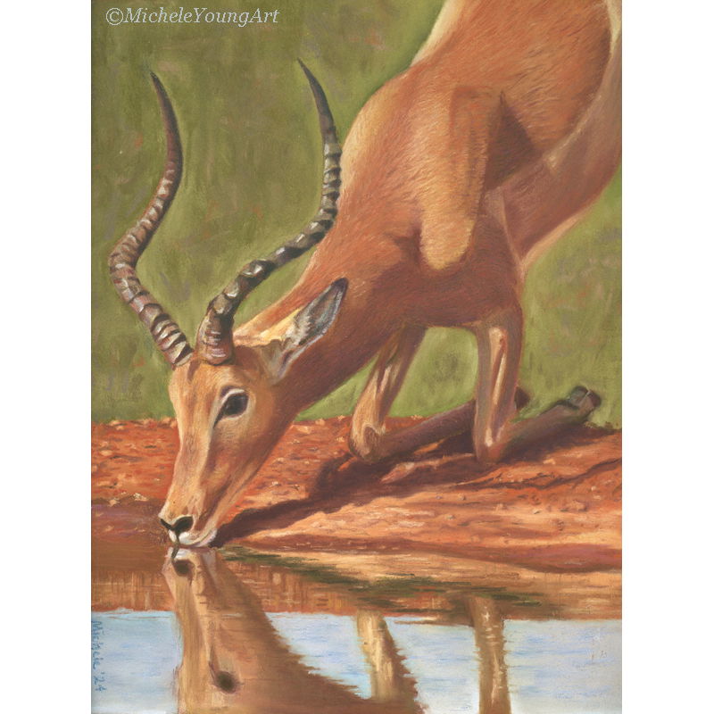 Impala and an Interview