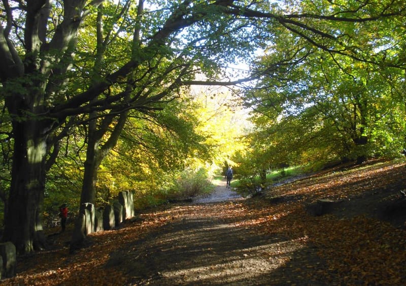 Colored Pencil/Pastel Class at Creative Junk Therapy