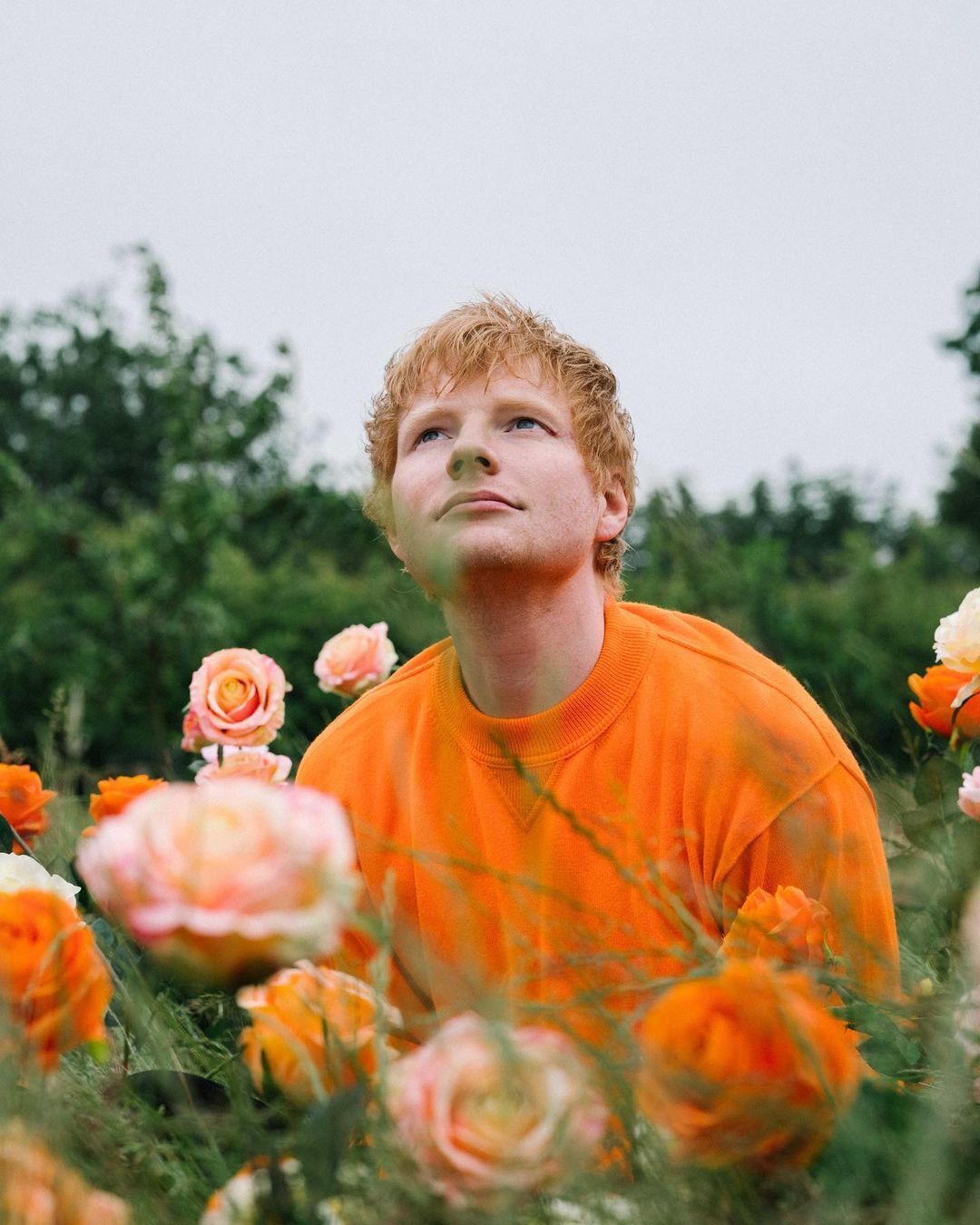 英國創作歌手 ED SHEERAN 患上武漢肺炎將會如期10月29號發行第四張專輯《=》