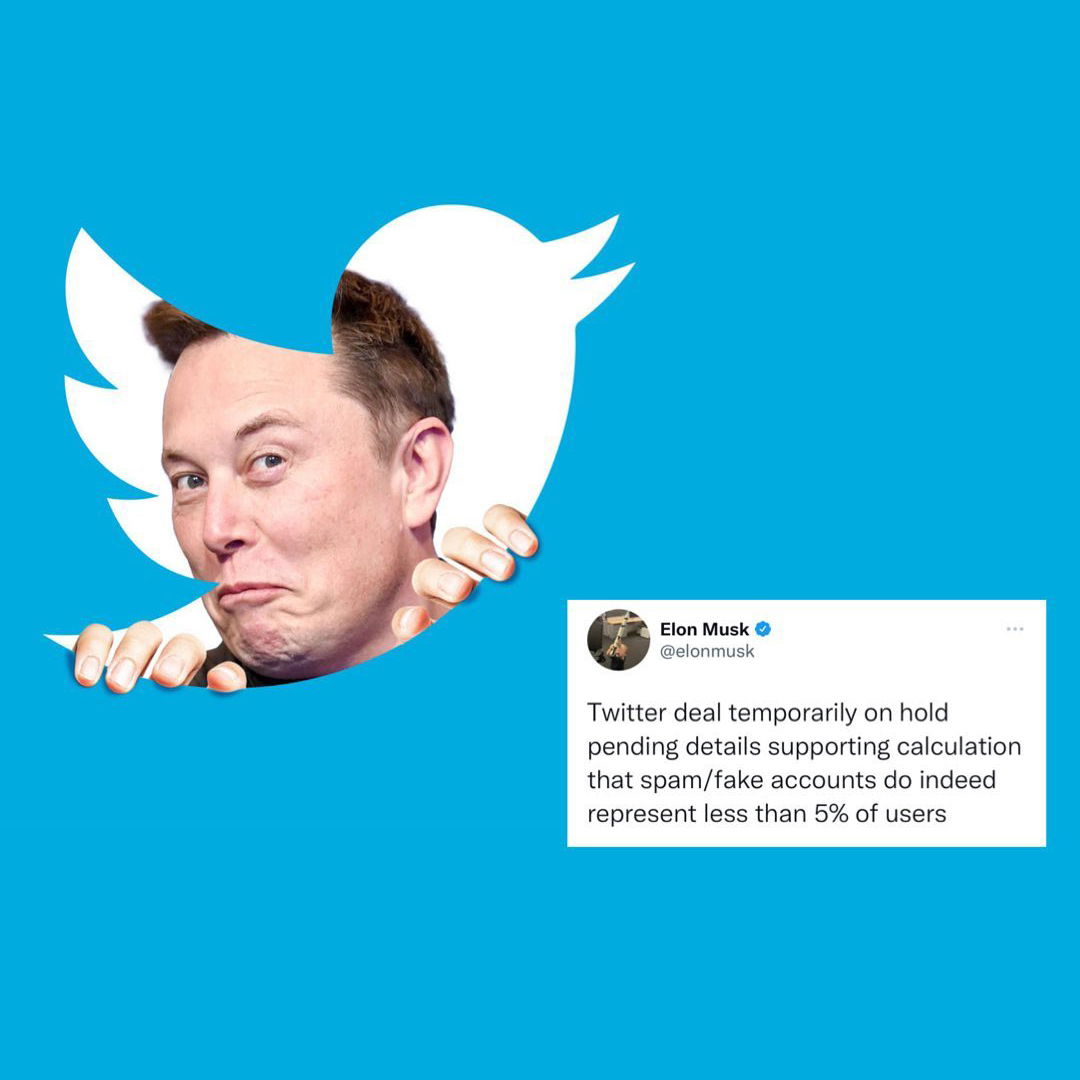 ELON MUSK 宣佈暫停收購 TWITTER 消息流出後 TWITTER 股價暴跌 20 %