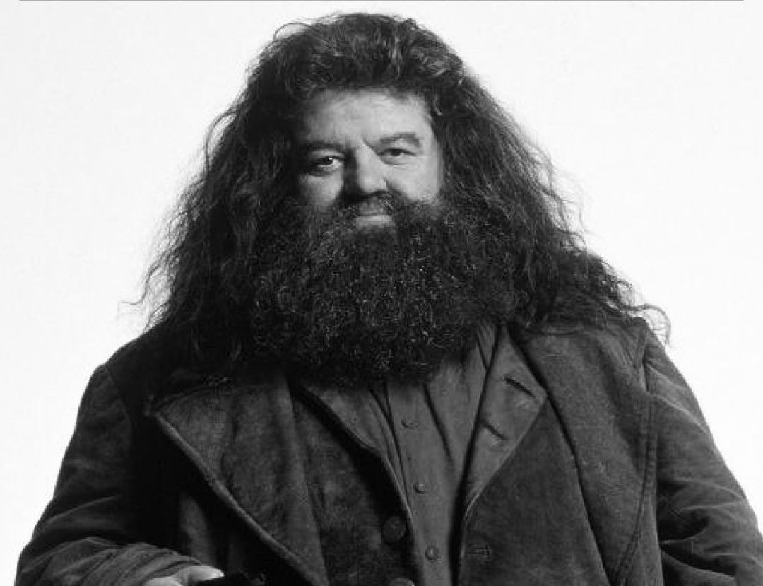 著名電影《哈利波特》角色「海格」演員 ROBBIE COLTRANE 因病去世，終年 72 歲