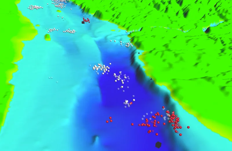 Modélisation du trafic maritime et des mouvements de mammifères marins dans l’estuaire du Saint-Laurent et le Saguenay