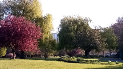 chandos park community group image