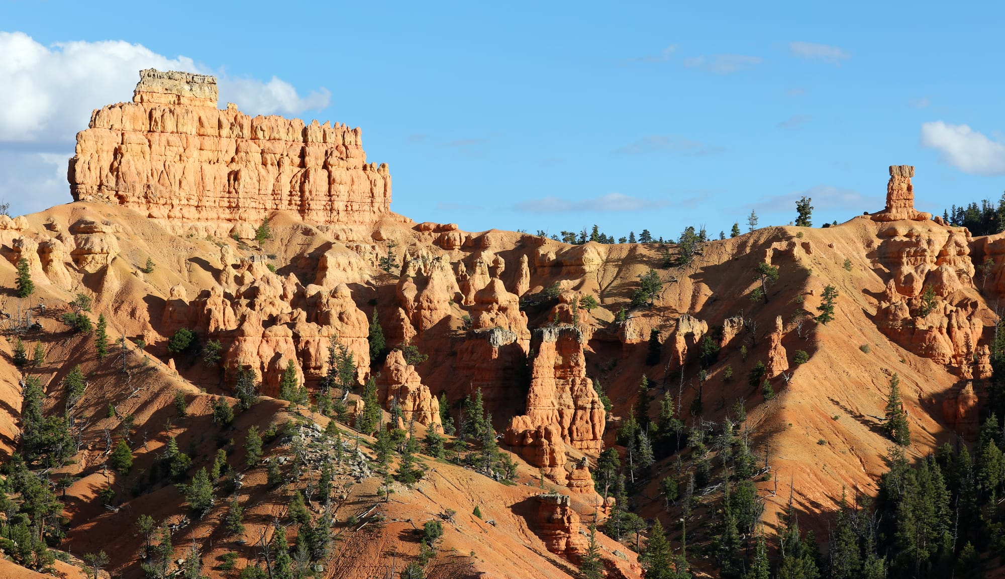 Red Canyon - Dixie National Forest