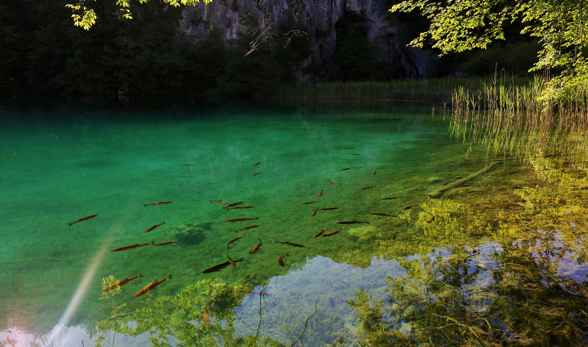 Plitvice Lakes National Park - Lower Lakes