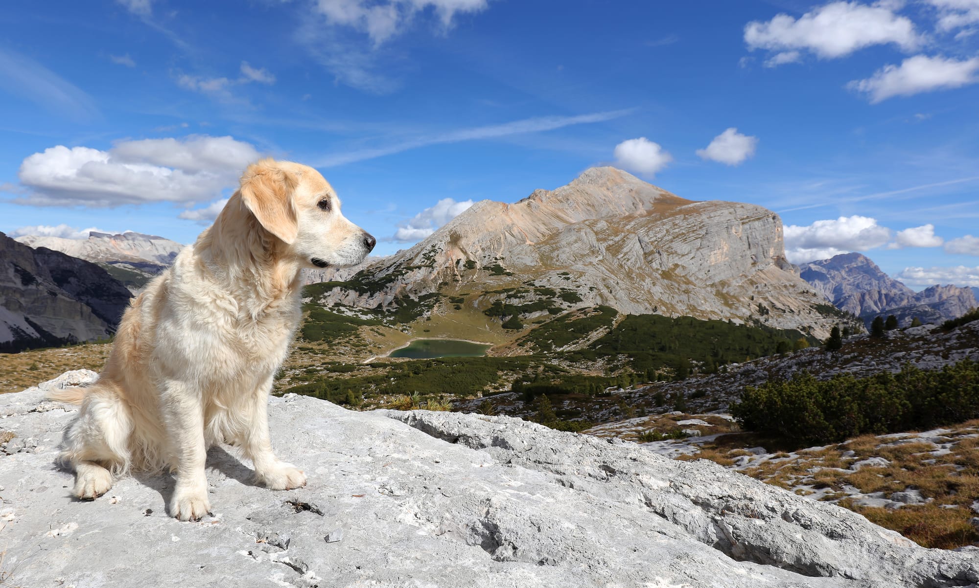 Sunny - Limosee - Col Bechei - Fanes - Dolomiten