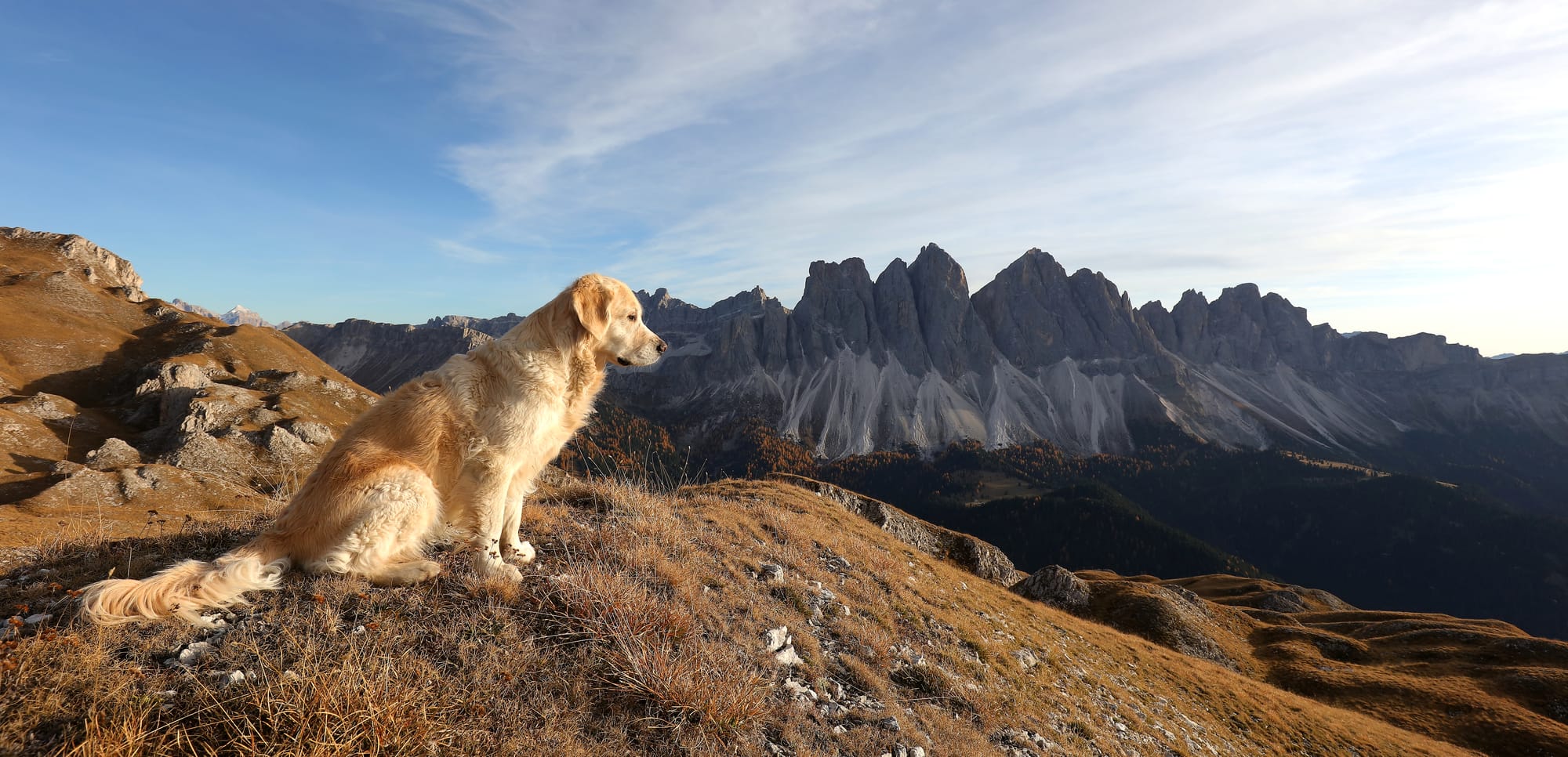 Sunny - South Tyrol - Puez-Geisler Nature Park - Dolomites