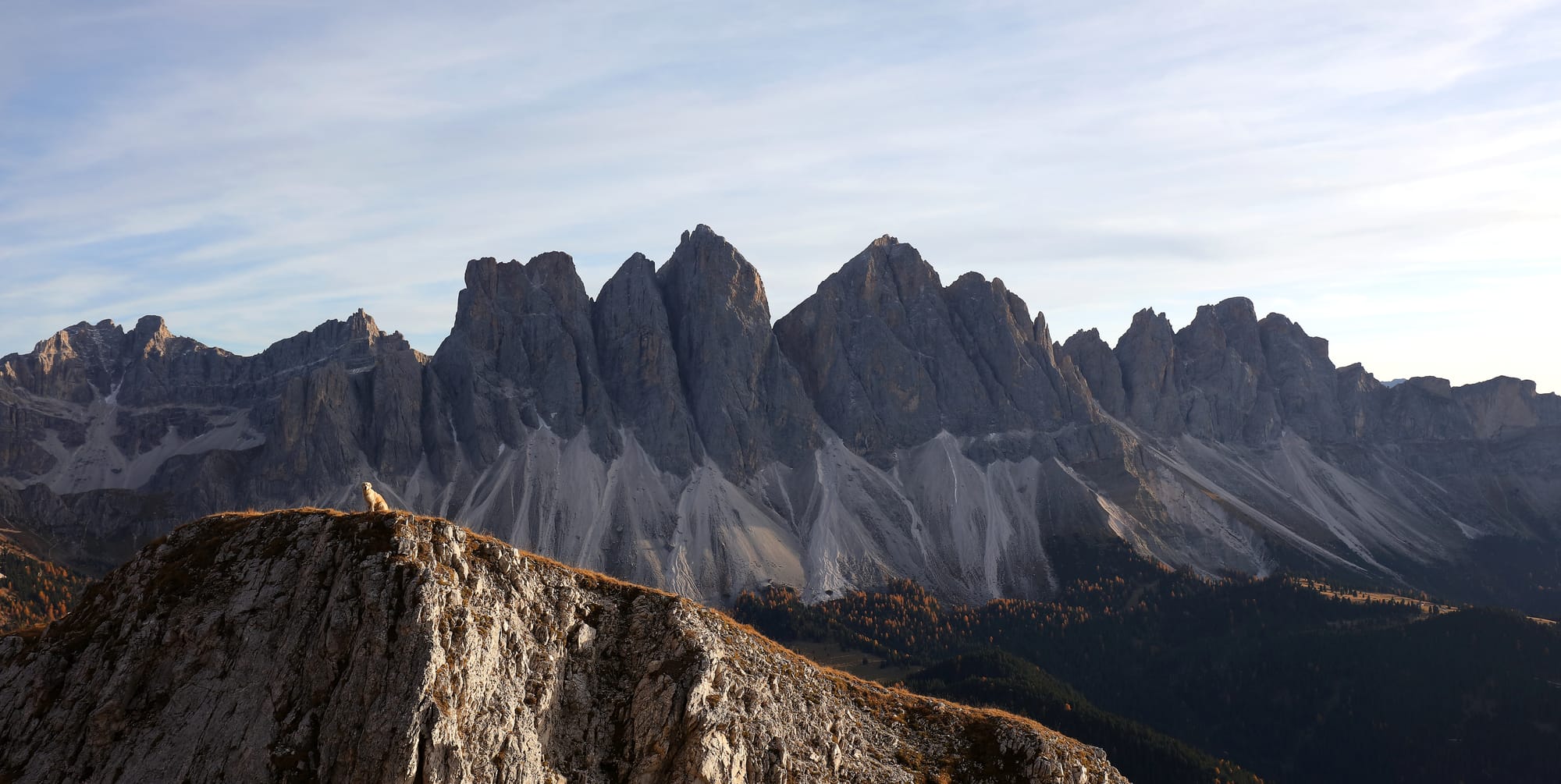 Sunny - Gruppo delle Odle - Dolomiti di Gardena - Trentino-Alto Adige