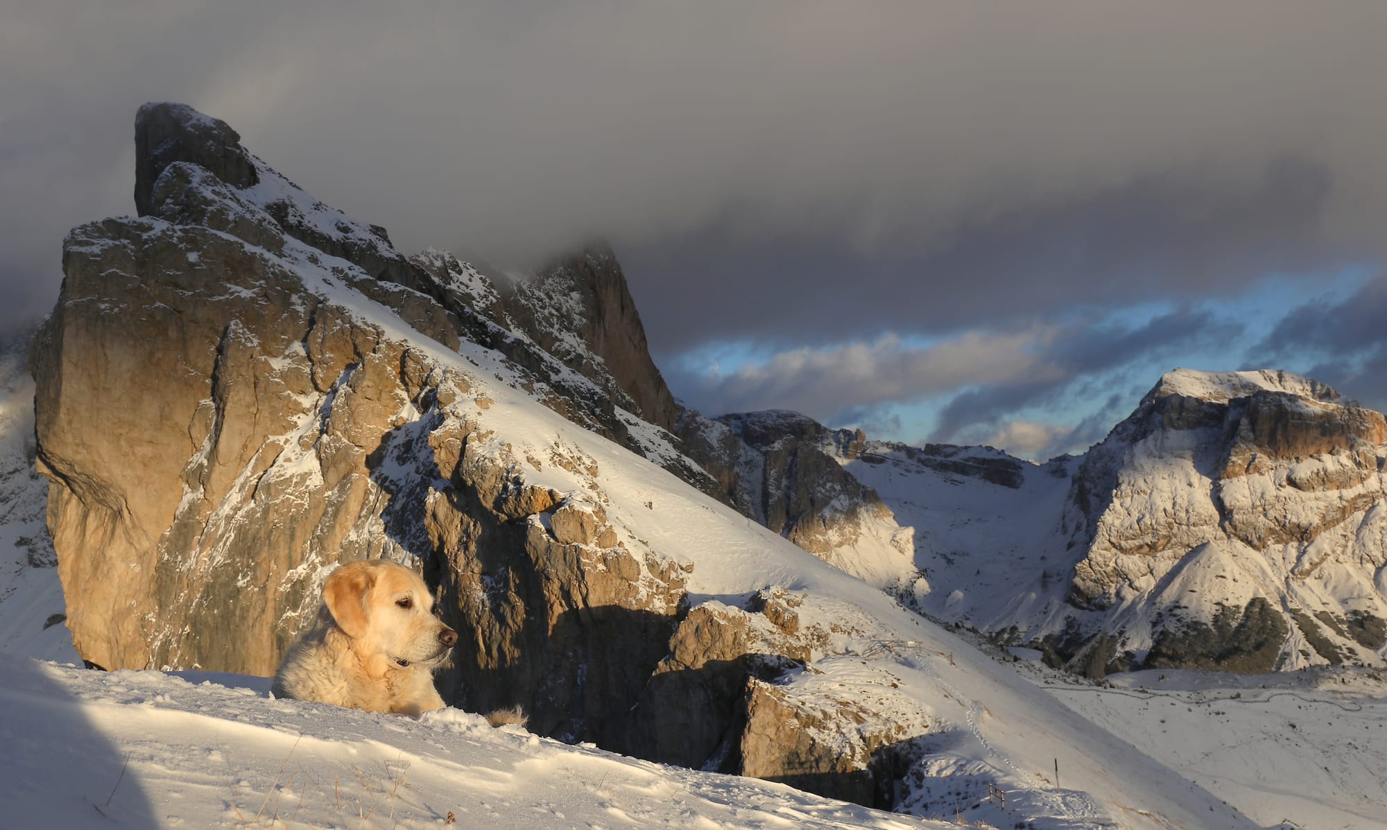 Sunny - Dolomiten - Villnößtal - Südtirol - Geislergruppe - Seceda