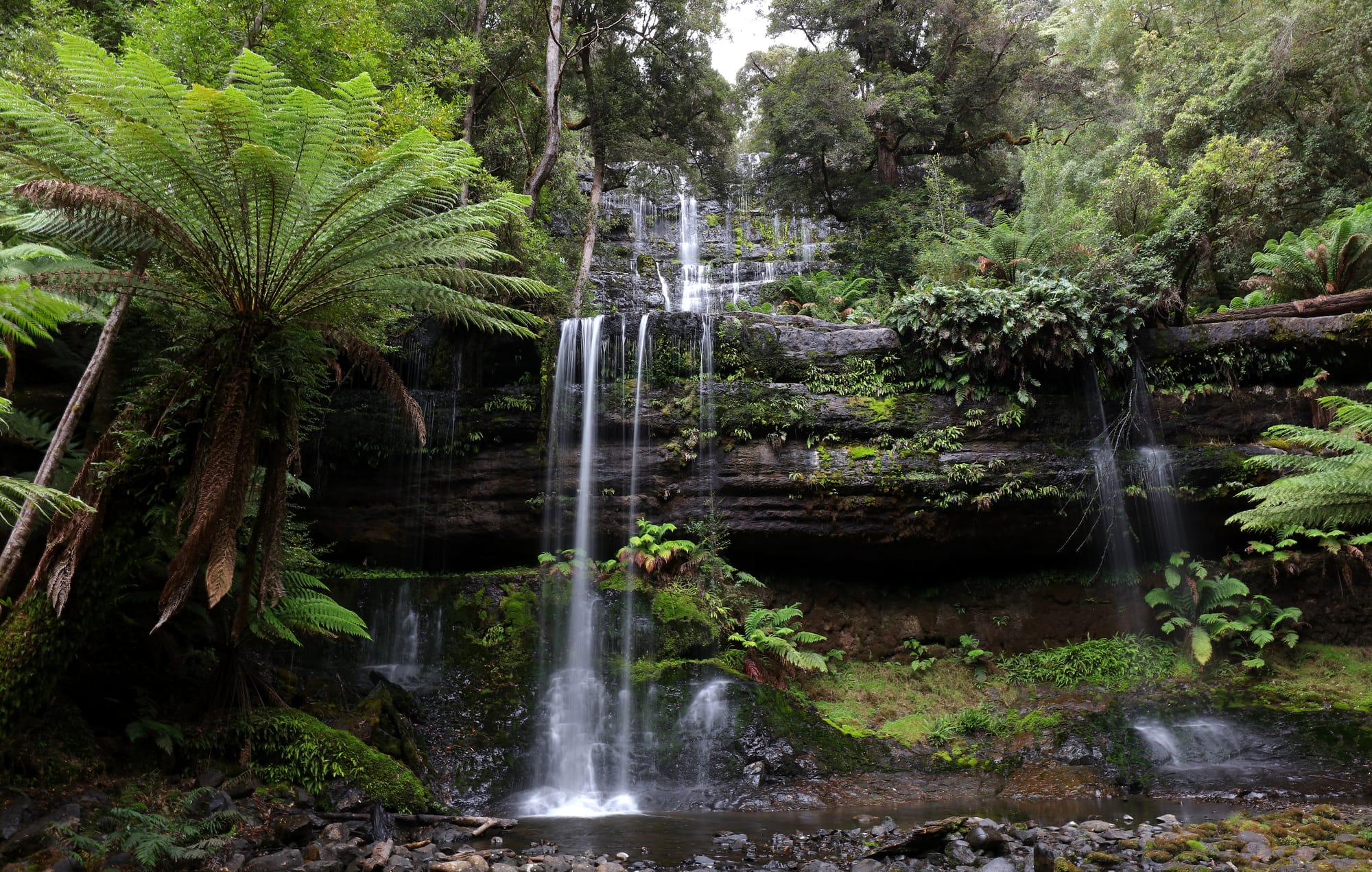 Russell Falls - Mount Field National Park - Tasmania
