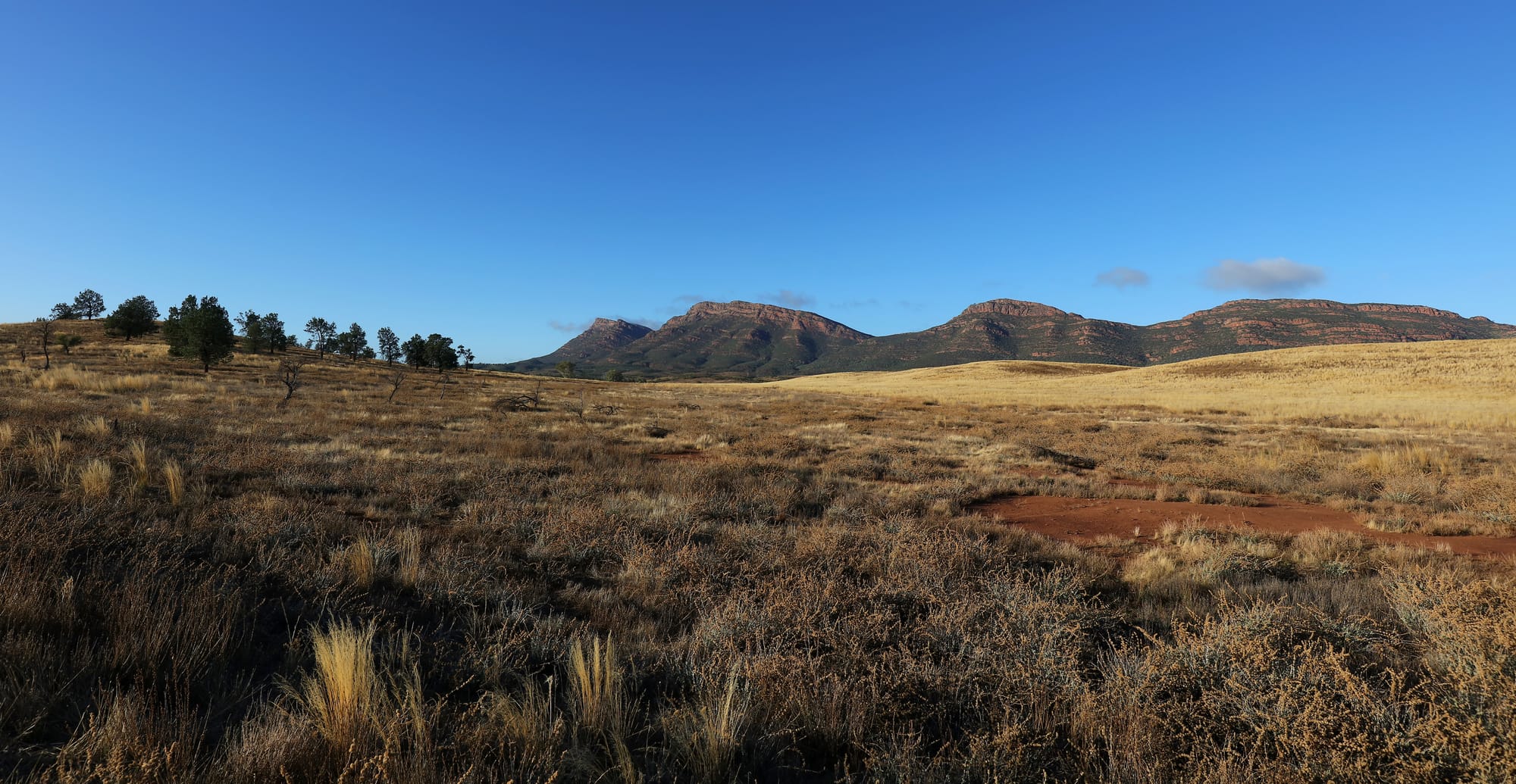 Wilpena Pound - Ikara–Flinders Ranges National Park - South Australia