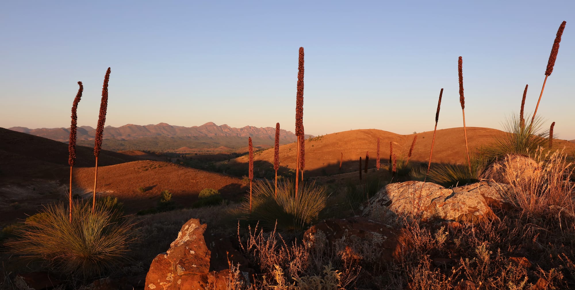 Hucks Lookout - Sunrise - Ikara–Flinders Ranges National Park - South Australia