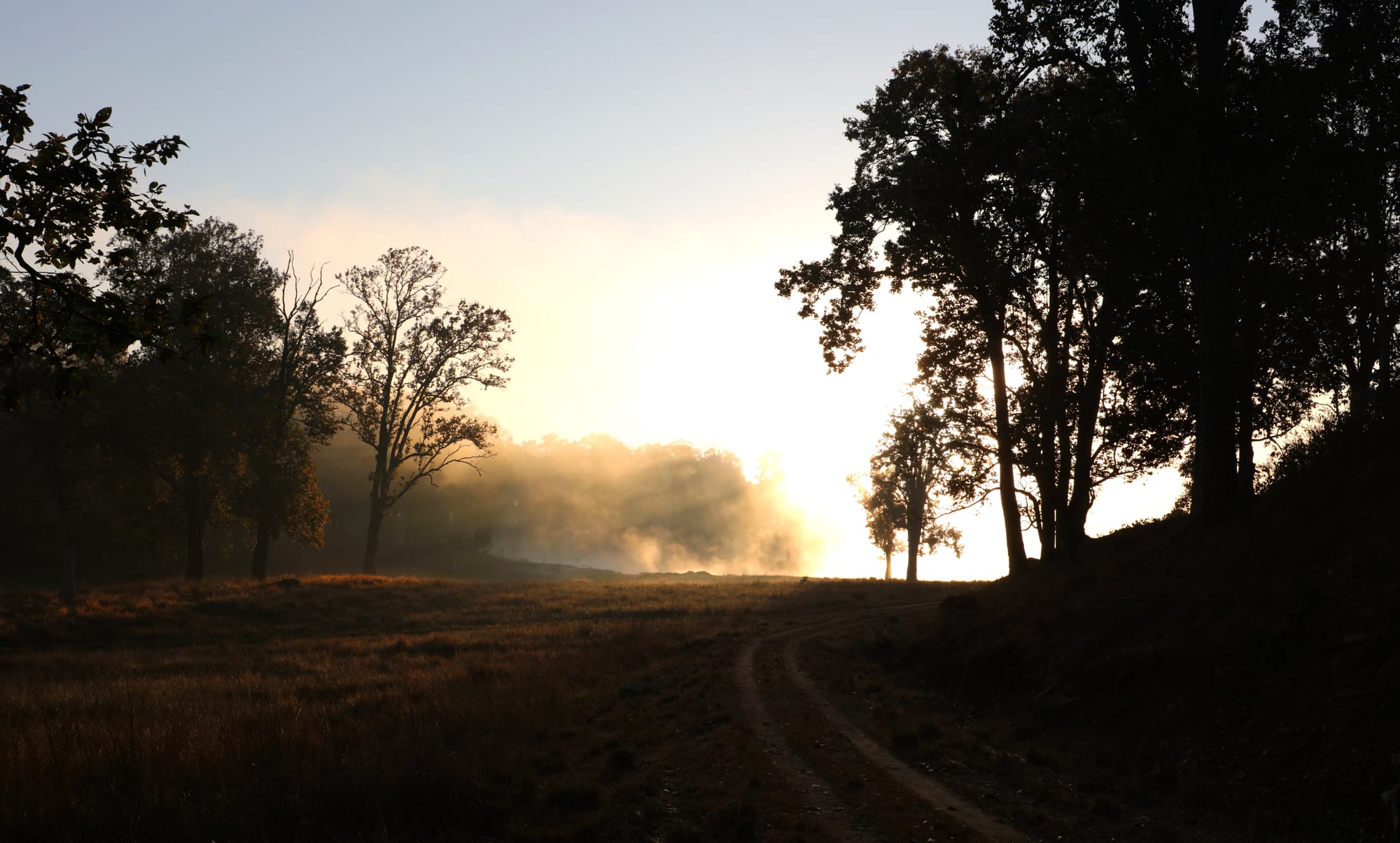 Kanha National Park - Kanha Zone