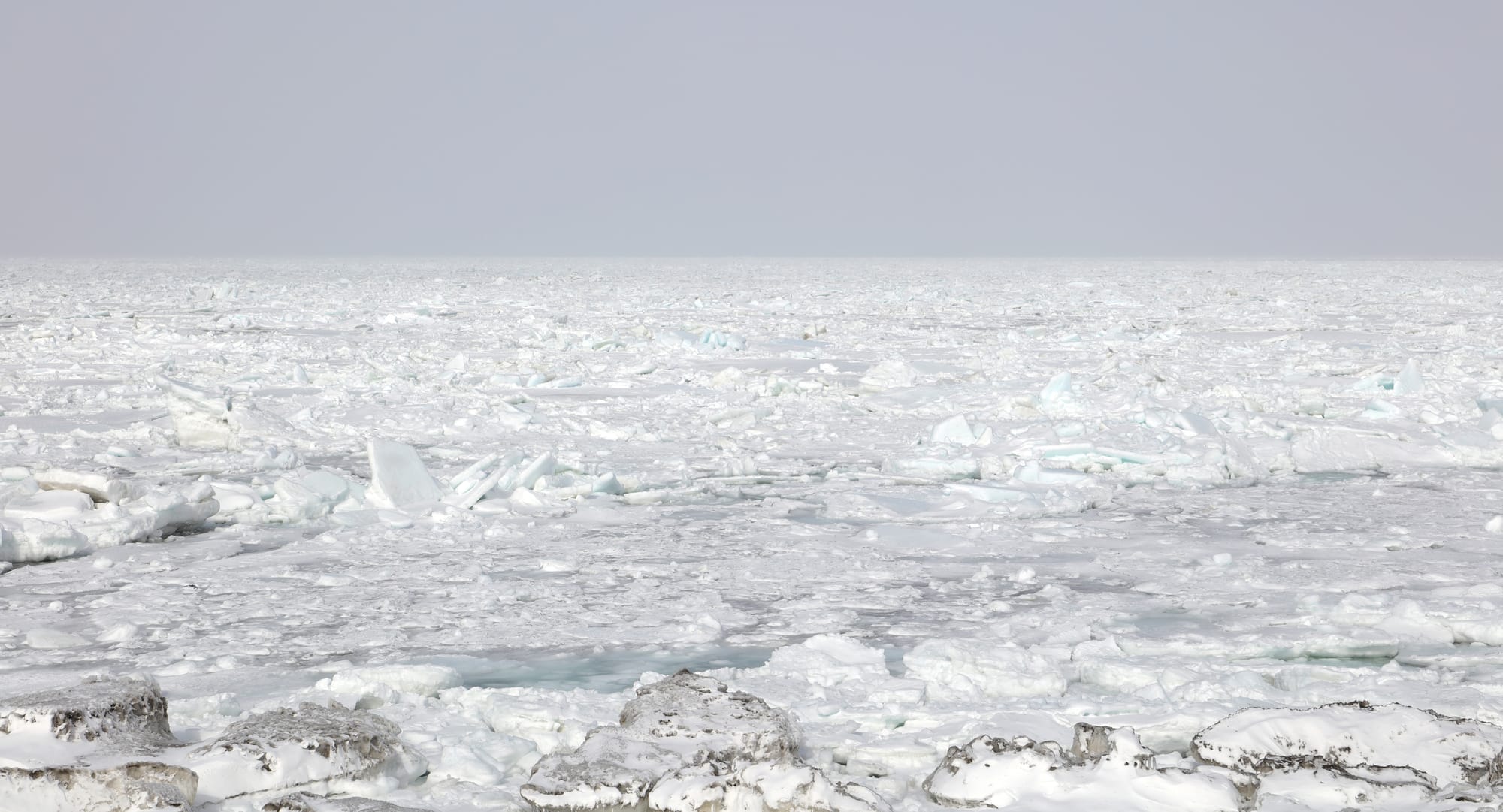 Nemuro Strait - Drift Ice - Notsuke Peninsula