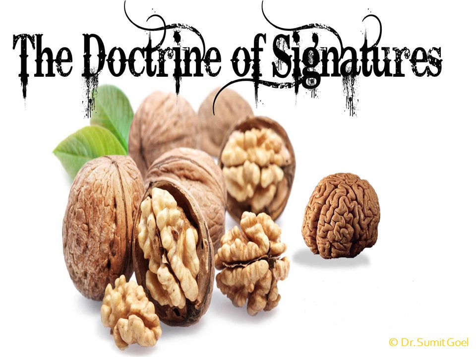 Doctrine of Signature