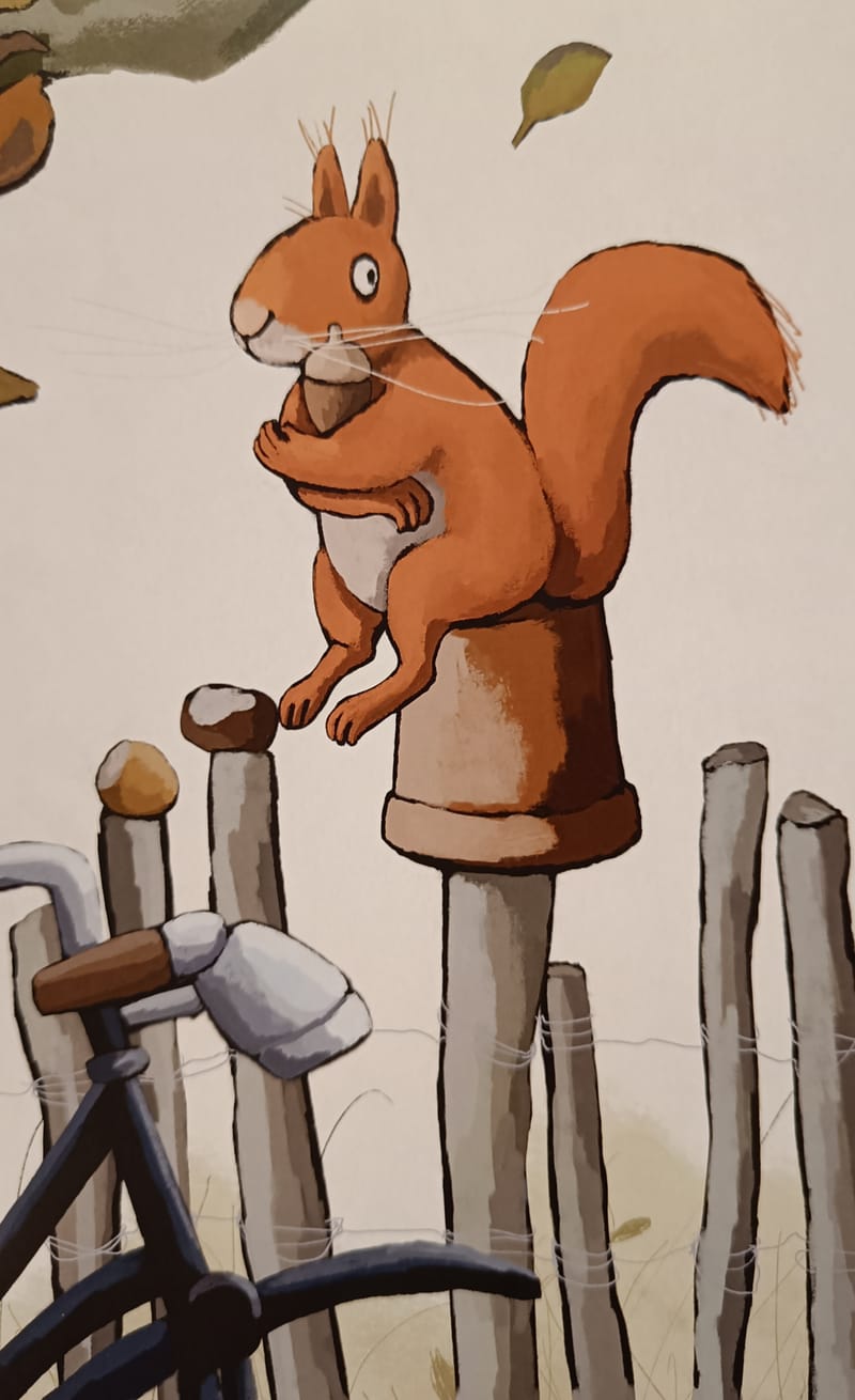 5 Nüsse für Eichhörnchen🐿